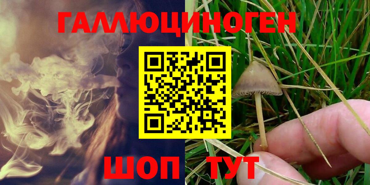 Псилоцибиновые грибы Psilocybe Нефтекумск